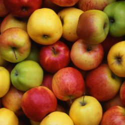 apples-at-farmers-market-royalty-free-image-1627321463